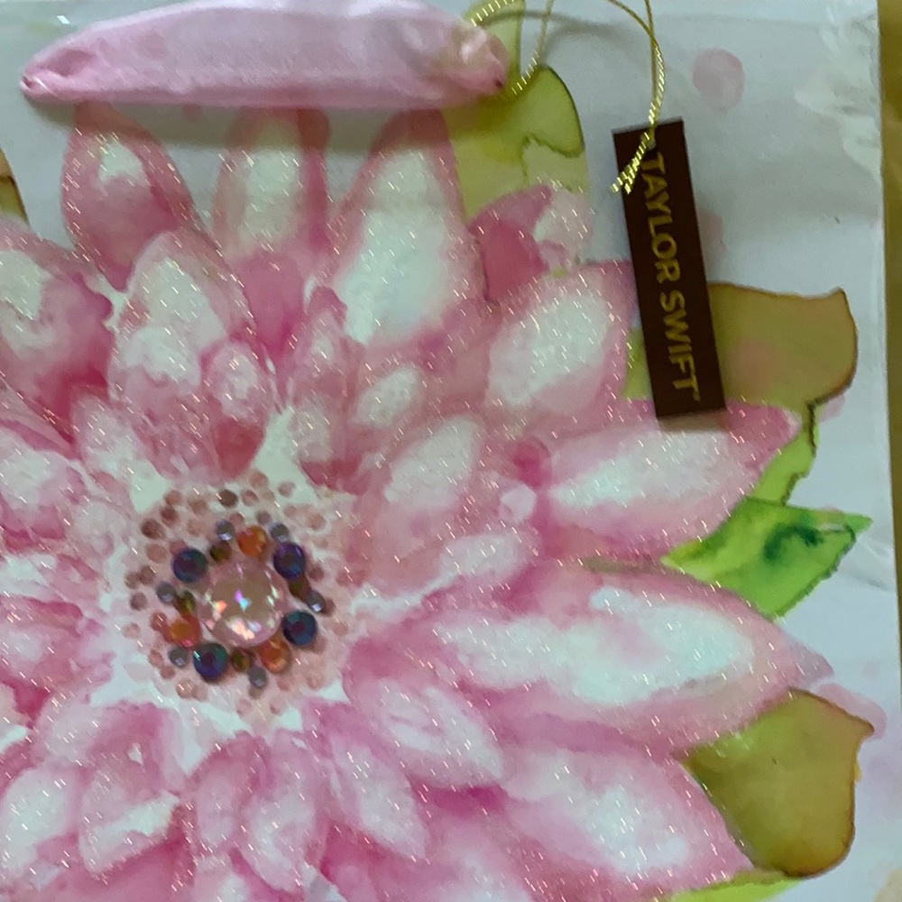 Taylor Swift Gift Bag